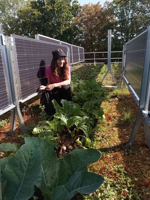 Gemüseanbau auf dem Dach (Urban Gardening).
